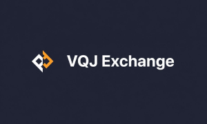 VQJ 거래소, 자체 지급능력 검증 기능 활성화 2 image 22