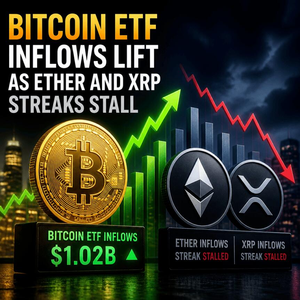 비트코인 ETF 자금 유입 증가, 이더리움과 XRP 상승세 둔화 2 image 6